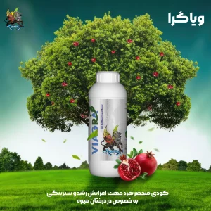 استوری-ویاگرا5