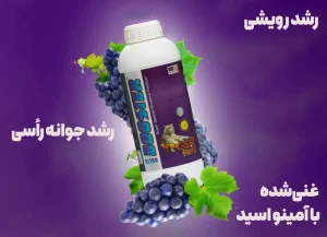 رشد رویشی و سرشاخه ها با کود اولترا بوستر