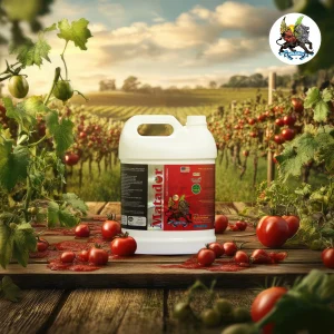 استفاده از کود ماتادور در مزارع گوجه فرنگی و گلخانه گوجه