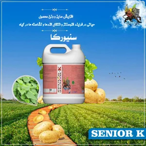 پست-5