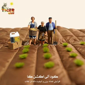 پست-8