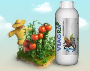 کود ویاگرا کودی فوق العاده برای صنعت کشاورزی کشور
