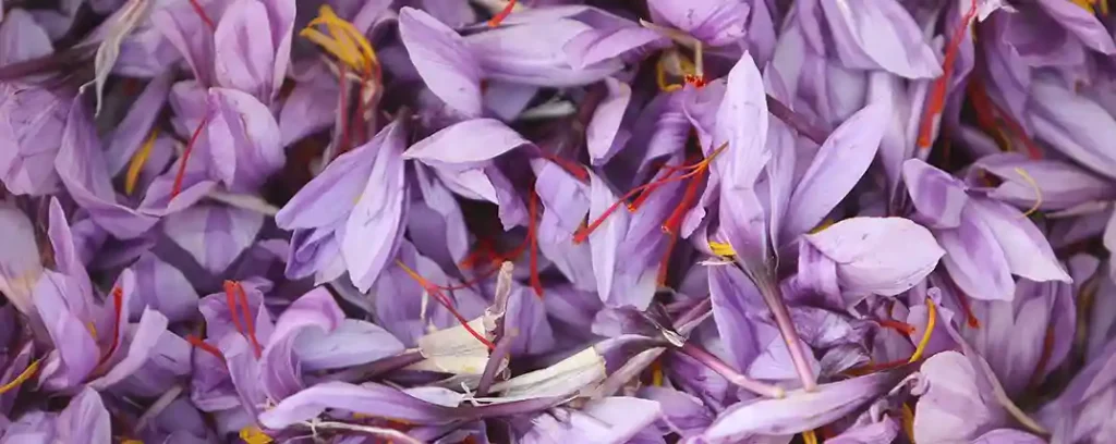 کودهای مخصوص زعفران