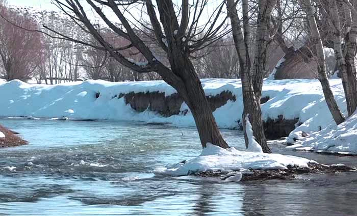 کوددهی زمستانه