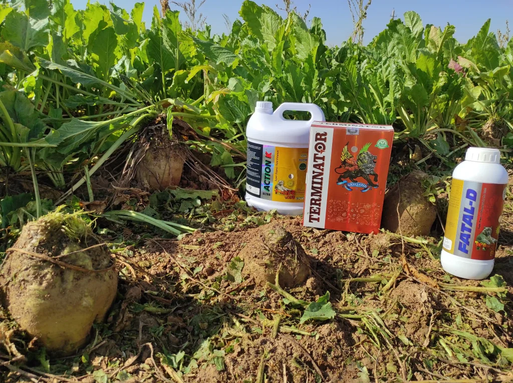 افزایش تناژ چغندرقند