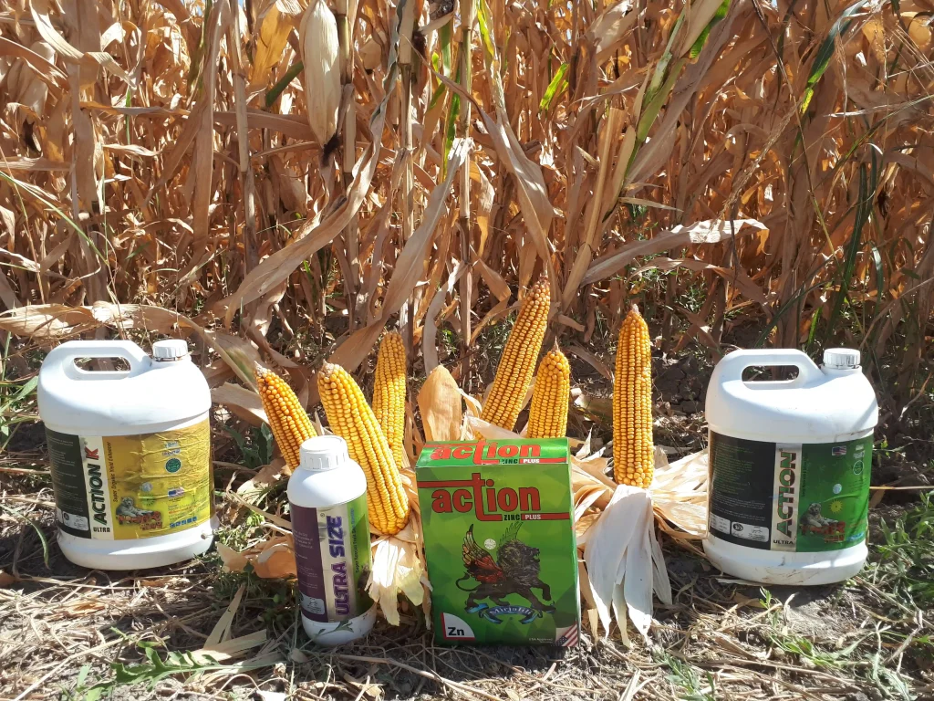 برنامه کوددهی و کودهای مخصوص ذرت