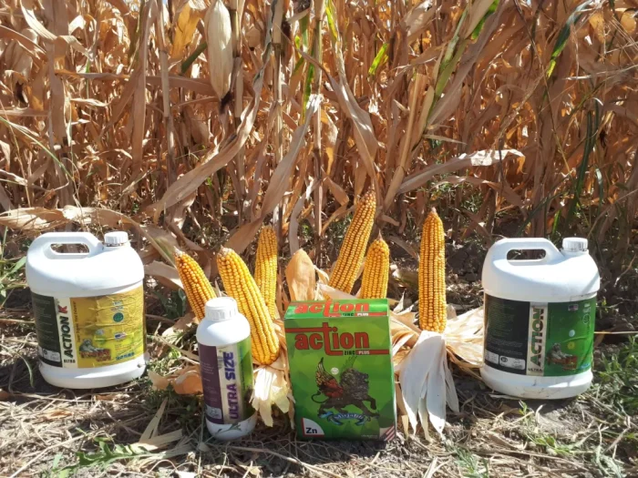 برنامه کوددهی و کودهای مخصوص ذرت