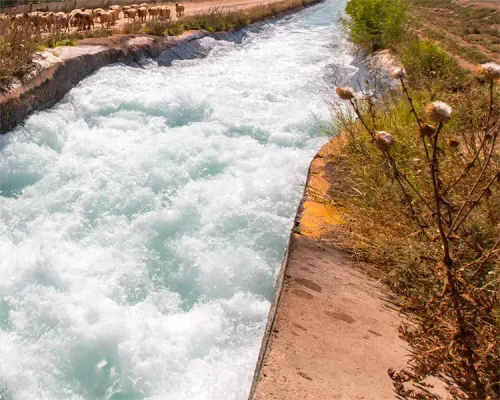 آبیاری در زمستان برای درختان میوه