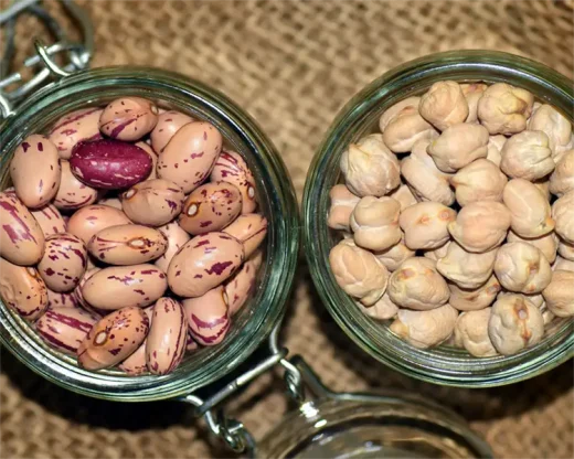 انواع حبوبات و خواص آن