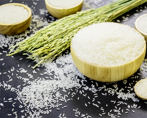 کوددهی به برنج برای افزایش تناژ برنج