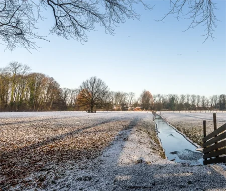 کود آبیاری زمستانه