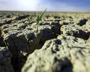 کاهش شوری خاک