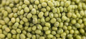 ماش و خواص آن برای بدن 