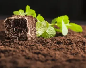 خواص هیومیک اسید برای خاک