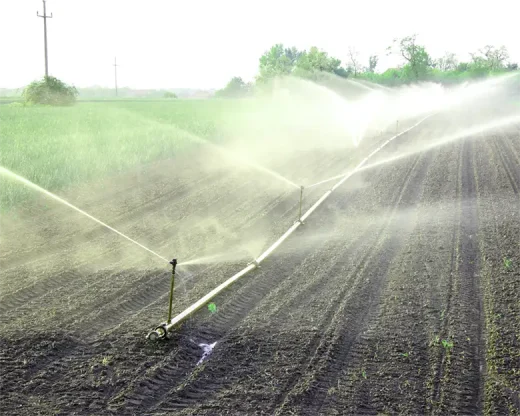 کود دهی برای خاک و آب شور کشاورزی