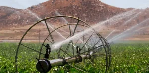 روش های آبیاری چغندر قند