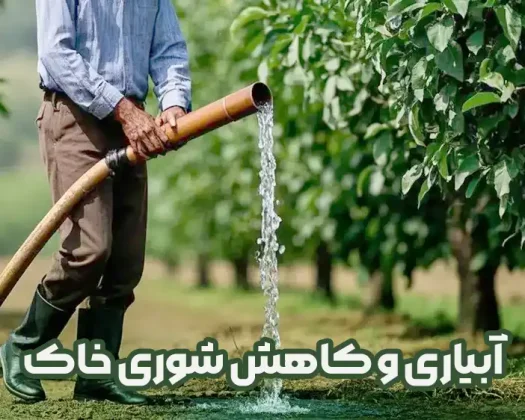 آبیاری و کاهش شوری خاک کشاورزی