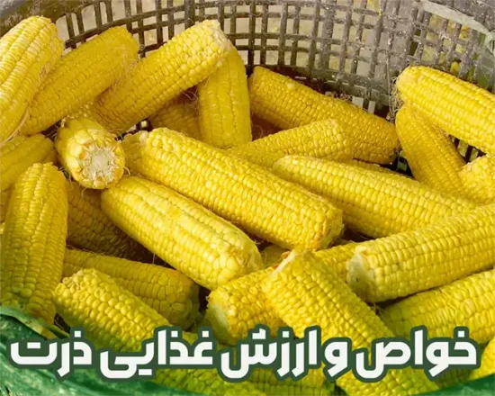 خواص و ارزش غذایی و کالری ذرت