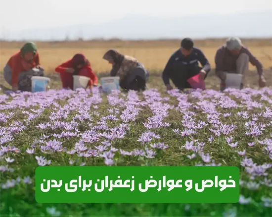 بررسی خواص ، فواید ، عوارض و مضرات زعفران بر سلامت بدن انسان