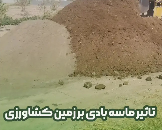 تاثیر ماسه بادی بر شوری خاک در زمین های کشاورزی