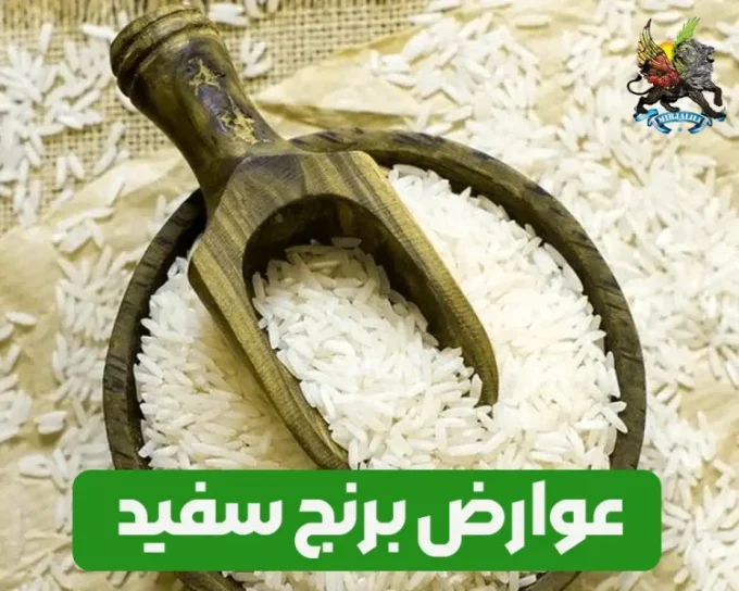 عوارض و مضرات برنج سفید بر سلامتی بدن انسان