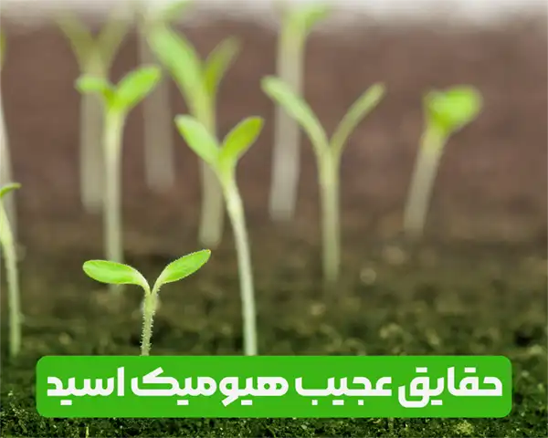 خواص و فواید هیومیک اسید برای خاک و گیاهان و درختان