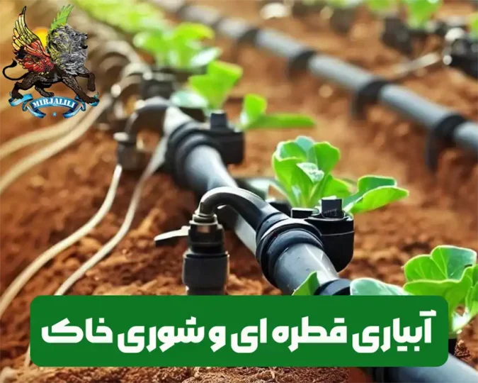 کاهش شوری خاک با آبیاری قطره ای
