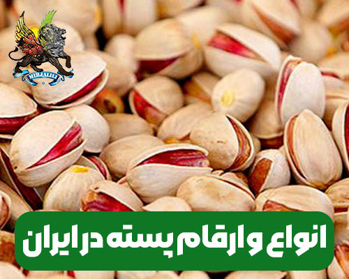 انواع و ارقام پسته و تفاوت های موجود در آن