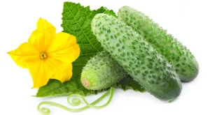 خوردن زیادی و افراطی خیار سبز و مضرات آن 