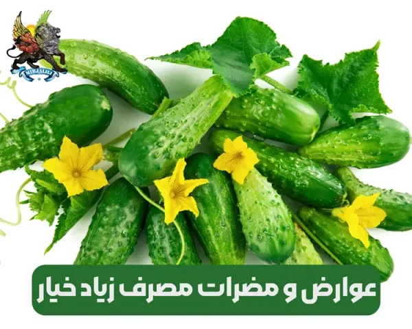 عوارض ، زیان و مضرات مصرف خیار برای سلامت بدن انسان