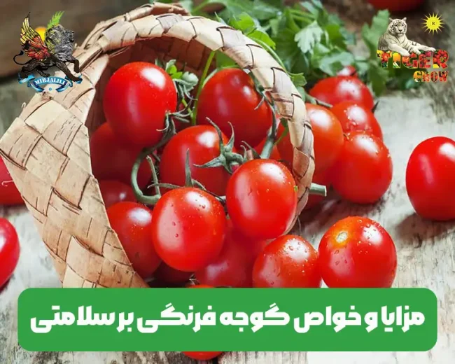 خواص و فواید گوجه فرنگی برای سلامتی بدن انسان ها