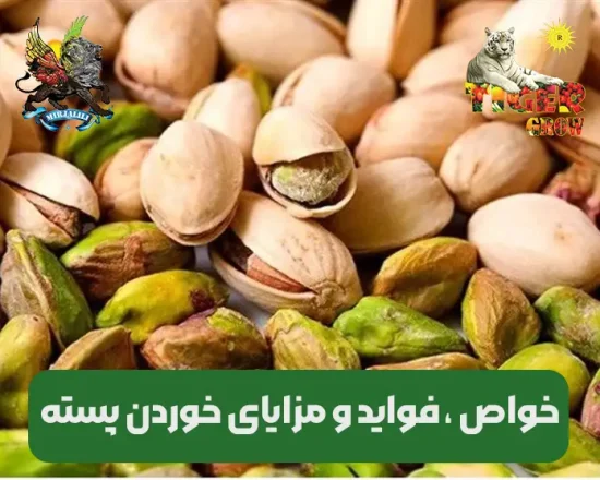 خواص و مزایا خوردن پسته برای سلامت بدن انسان