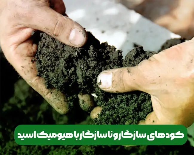 کود هیومیک اسید و ترکیب آن با سایر کودها