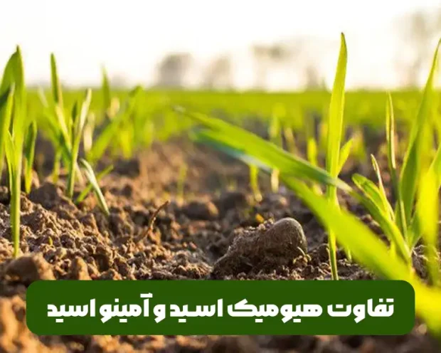 تفاوت های هیومیک اسید و آمینو اسید و زمان استفاده هرکدام از آن ها