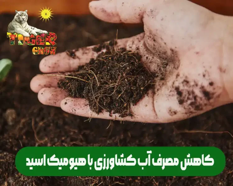 کاهش و صرفه جویی در آبیاری و آب کشاورزی با استفاده از هیومیک اسید