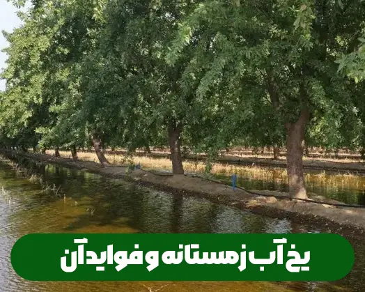 فواید یخ آب زمستانه برای مزارع و باغات کشاورزی