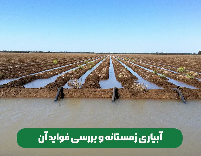 آبیاری زمستانه و فواید آن بر باغات کشاورزی