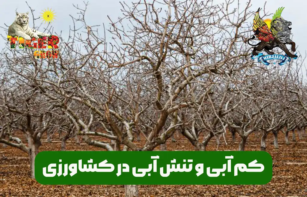 نکات متعدد برای کاهش تنش آبی در کشاورزی و باغات و مزارع