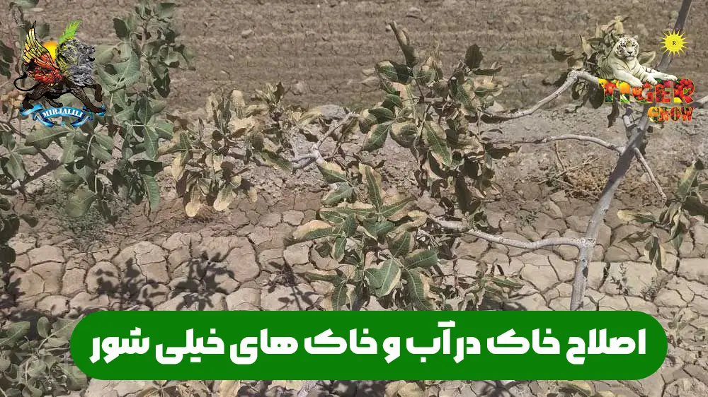 اصلاح ساختار خاک در آب و خاک های خیلی شور با املاح بالا