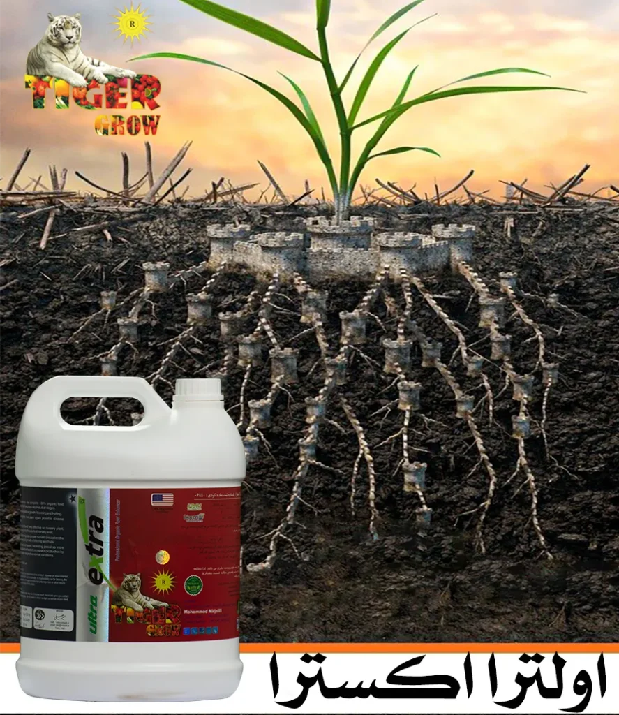 عوارض و معایب بیش از حد و بی رویه هیومیک اسید بر درختان و گیاهان