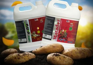 کودهای مخصوص برای افزایش رشد و وزن سیب زمینی