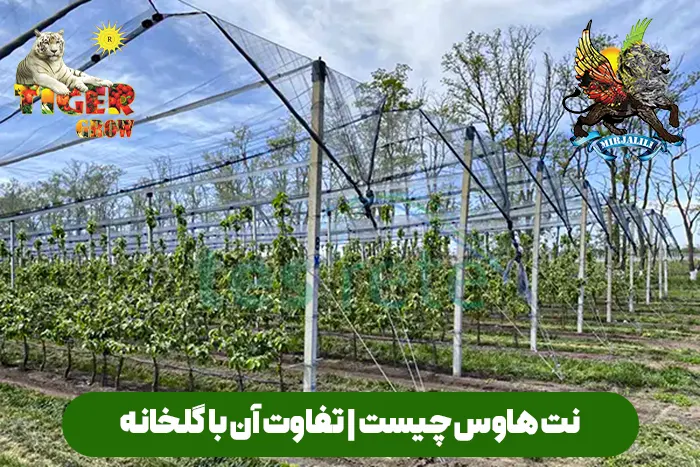 در این مقاله با نت‌هاوس یا خانه توری آشنا شوید؛ سازه‌ای اقتصادی و زیست‌پایدار که بین گلخانه و کشت فضای باز قرار دارد. مزایا، معایب، ساختار و کاربردهای آن را بررسی کرده‌ایم تا بدانید چگونه می‌توان تولید محصولات باکیفیت‌تری داشت.