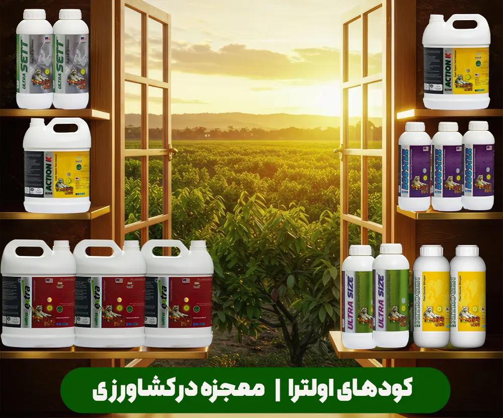 کود اولترا (ULTRA) مجموعه‌ای از کودهای وارداتی و تخصصی است که عملکردی بی‌رقیب در شرایط تنش‌های شوری، گرما و سرما دارد. آشنایی با اولترا اکشن K، اولترا سایز، اولترا ست و سایر اعضای خانواده اولترا؛ راه‌حل نهایی برای افزایش عملکرد و کیفیت محصول در کشاورزی حرفه‌ای.