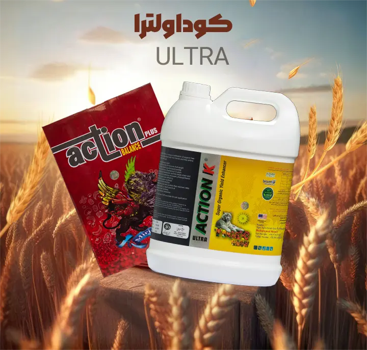 کود اکشن حاصل فناوری پیشرفته جذب سریع است و در شرایط تنش، کمبود عناصر و خاک‌های شور، بهترین انتخاب برای افزایش عملکرد محصولات کشاورزی محسوب می‌شود.