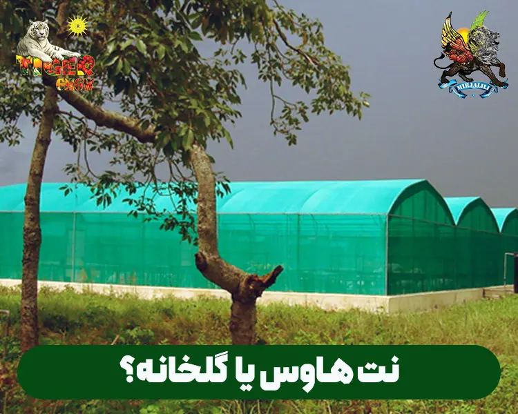 بررسی کامل تفاوت ها و مزایا و معایب نت هاوس و گلخانه