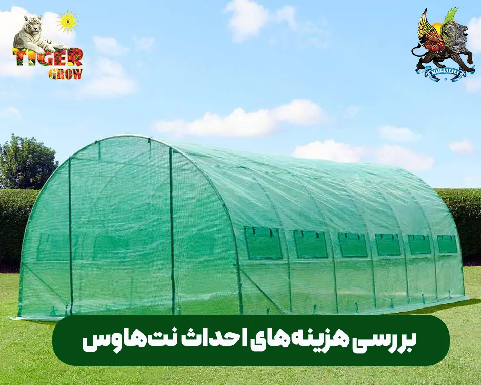 مقایسه هزینه‌های احداث نت‌هوس در برابر سود کاهش ضایعات. چگونه با حداقل سرمایه‌گذاری، محصولاتی با کیفیت بالاتر و بدون خسارت عرضه کنیم؟ راهنمای اقتصادی برای باغداران