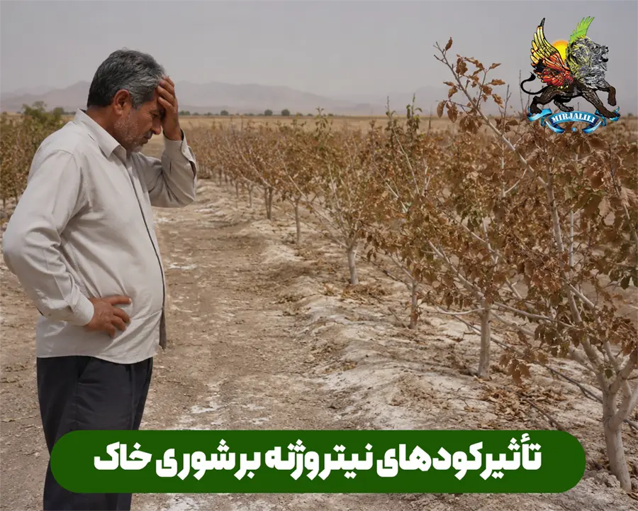 تاثیر کودهای ازت و نیترات بر شوری خاک و روش های پیشگیری از آن