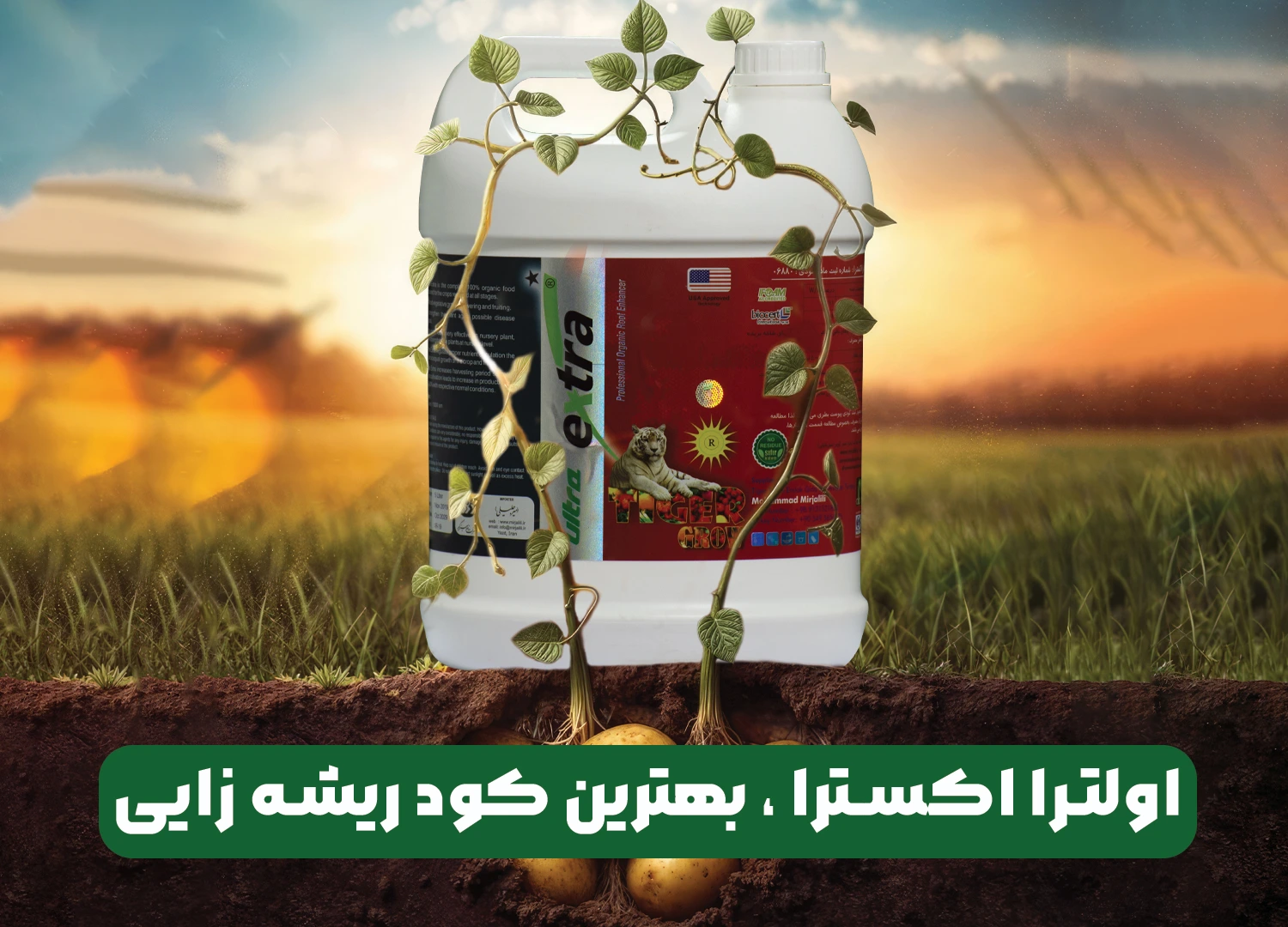 اولترا اکسترا بهترین کود ریشه زایی در کشور