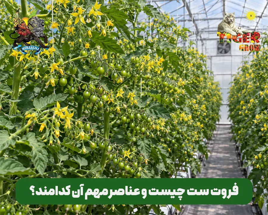 می‌خواهید عملکرد باغ خود را متحول کنید؟ در این مقاله یاد بگیرید فروت ست چیست و چگونه با مدیریت عناصر مهم آن، از ریزش شکوفه‌ها جلوگیری کرده و تناژ محصول را افزایش دهید
