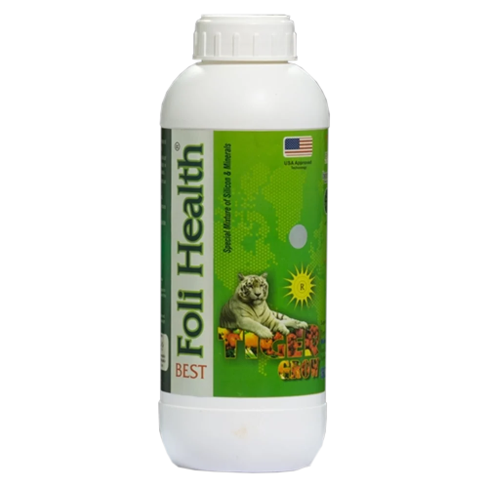 بست فولی هلث